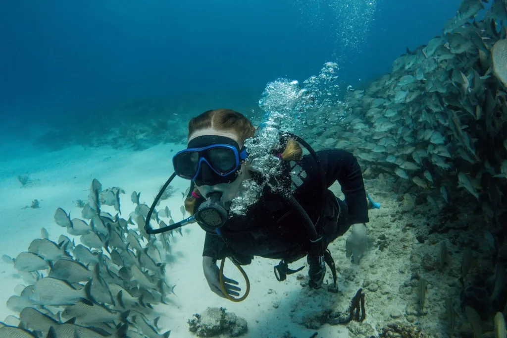 diver swimming among a school of fish in the caribbean sea